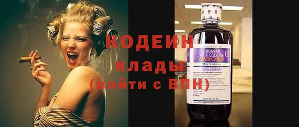 СК Бронницы