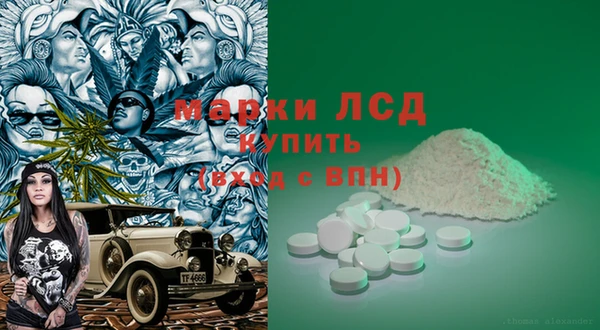 spice Богородск