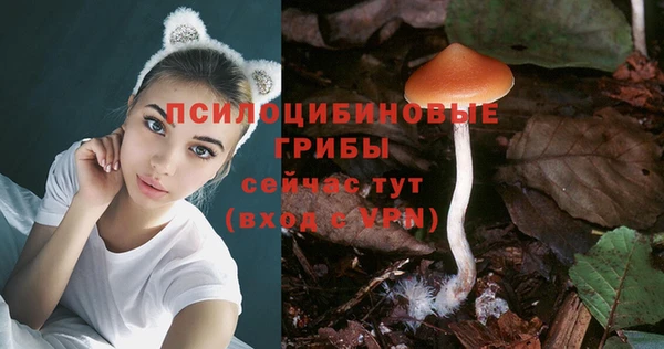 герыч Бугульма