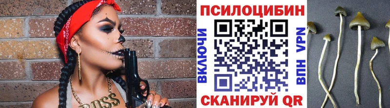 Галлюциногенные грибы GOLDEN TEACHER  Мичуринск 